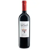 Valsotillo Finca Buenavista (Spain) 2019 Tempranillo