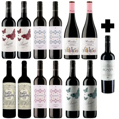 Spanish Reds Value Case + Bonus Bottle + Metro Delivery Included