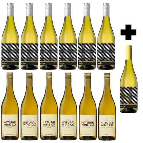 Chardonnay Value 12 Pack + Bonus Bottle + Delivery Included