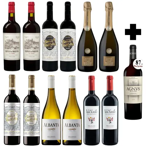 Spanish Reds Premium Case + Bonus Bottle + Delivery Included