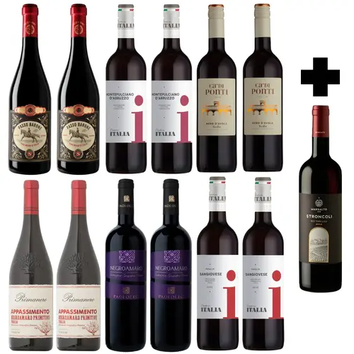 Italian Reds Case + Bonus Bottle + Delivery Included