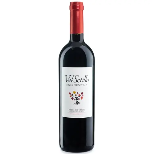 Valsotillo Finca Buenavista (Spain) 2019 Tempranillo